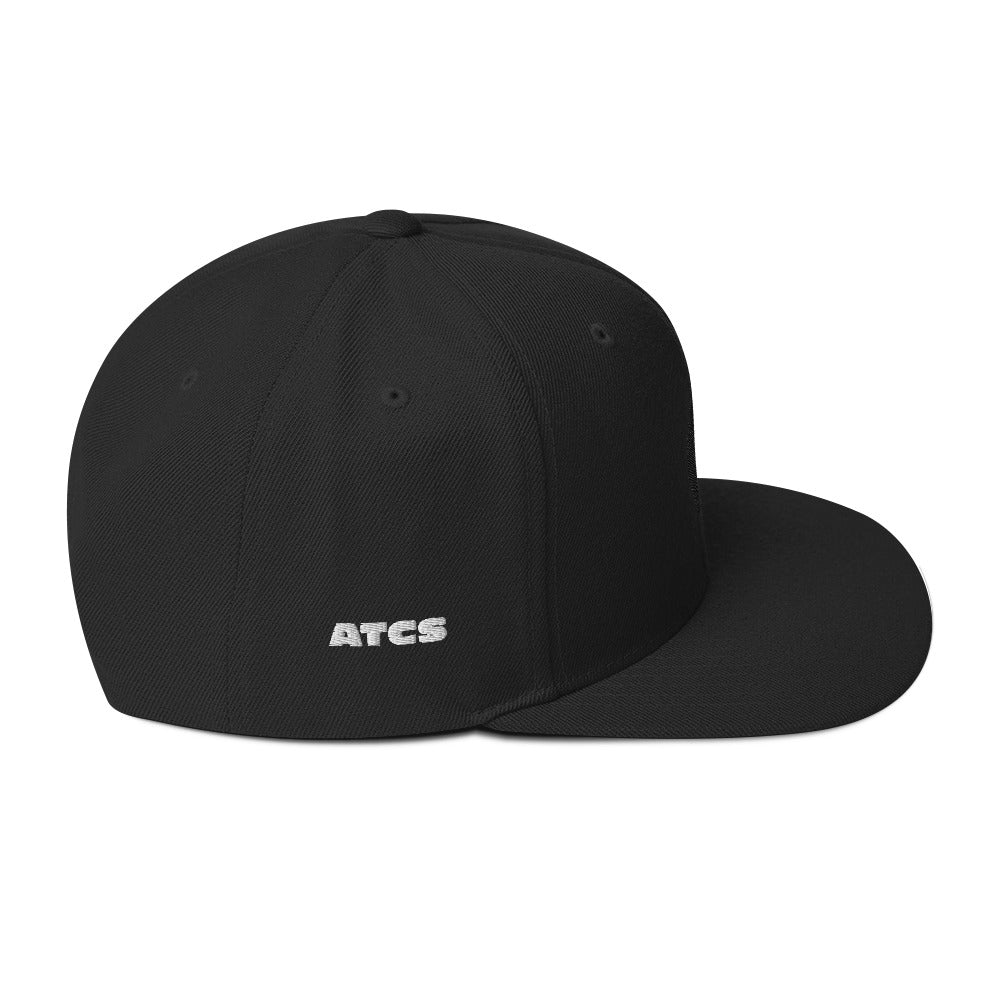Original Sansui Logo Snapback Hat
