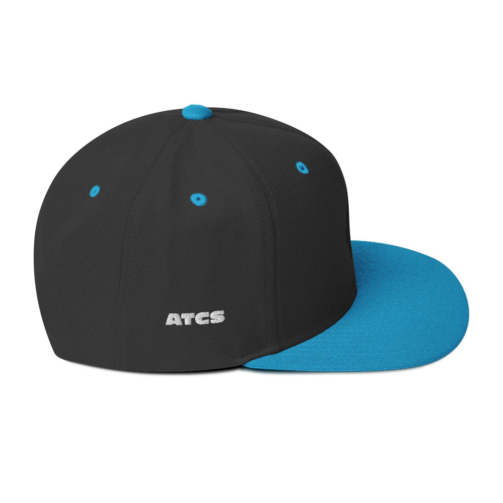 Original Sansui Logo Snapback Hat